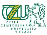 Korektura bakalářských prací pro studenty ČZU Praha